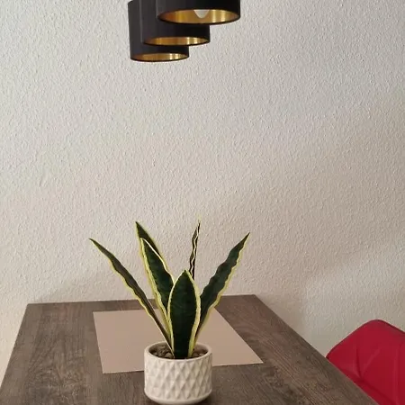 Apartment Zeisigwaldstube Chemnitz