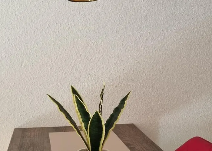 شقة Zeisigwaldstube شيمنيتز